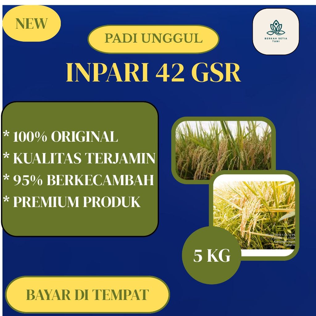 Benih padi unggul INPARI 42 AGRITAN GSR kemasan 5kg
