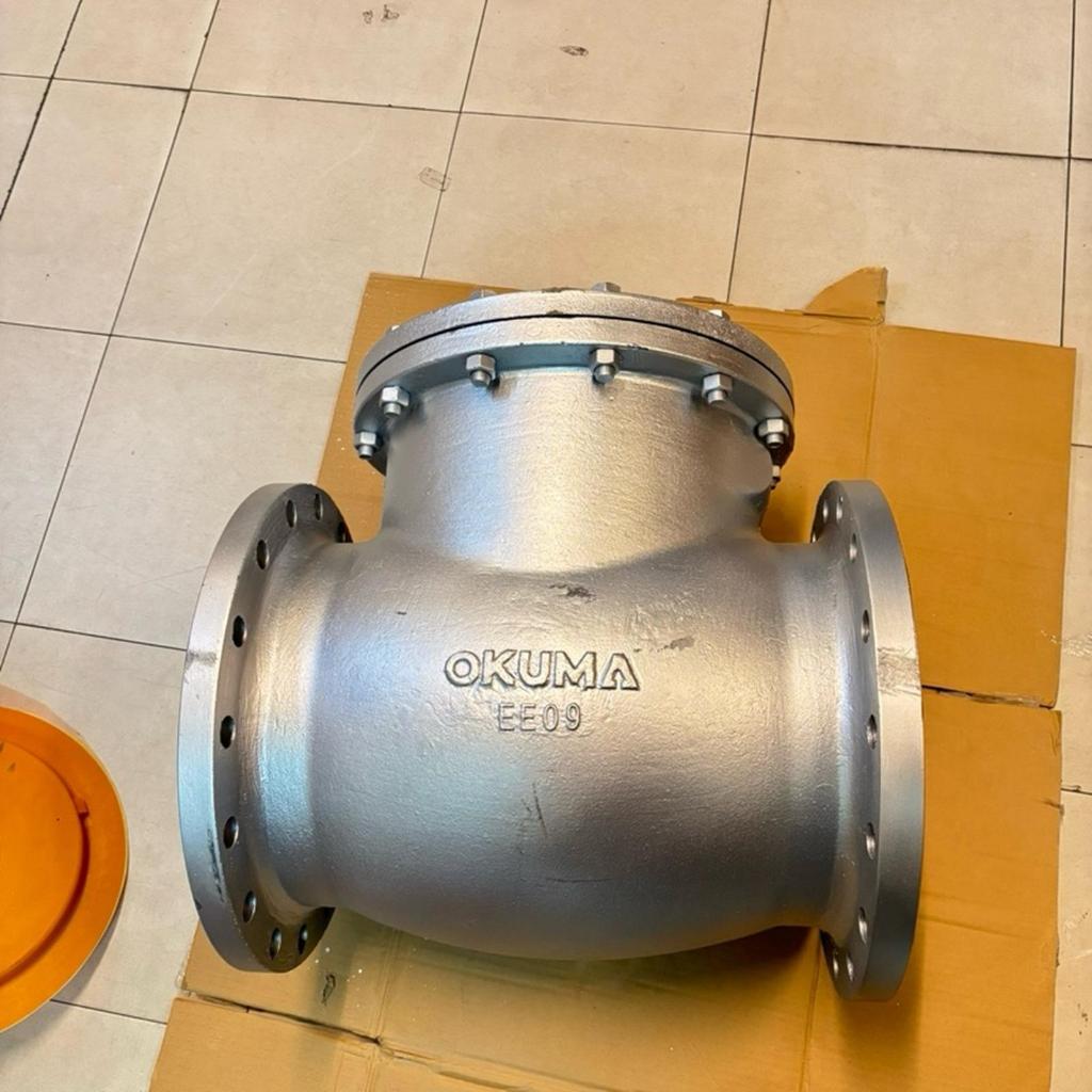 Swing Check Valve 12” inch Cast Iron JIS 10K Flange