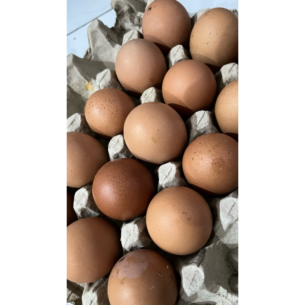 Telur Ayam 1kg