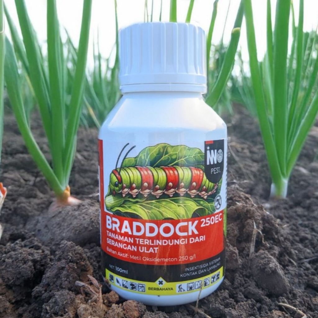 Insektisida Braddock, paling ampuh basmi ulat, ulat bawang, ulat padi, ulat grayak, 100ml