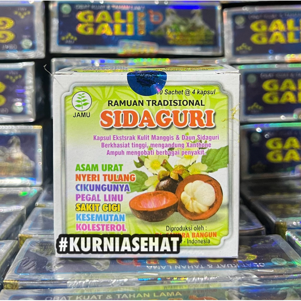 SIDAGURI KAPSUL ORIGINAL