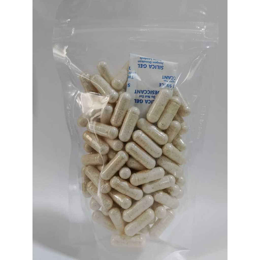 Tribulus Terrestris Extract Kapsul Curah 100pcs – Herbal Alami