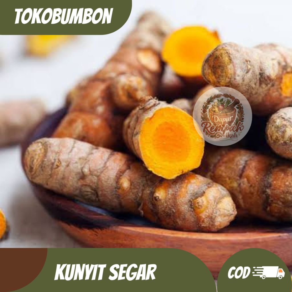 KUNYIT / KUNYIT SEGAR / KUNYIT TEMANGGUNG / KUNYIT MUDA