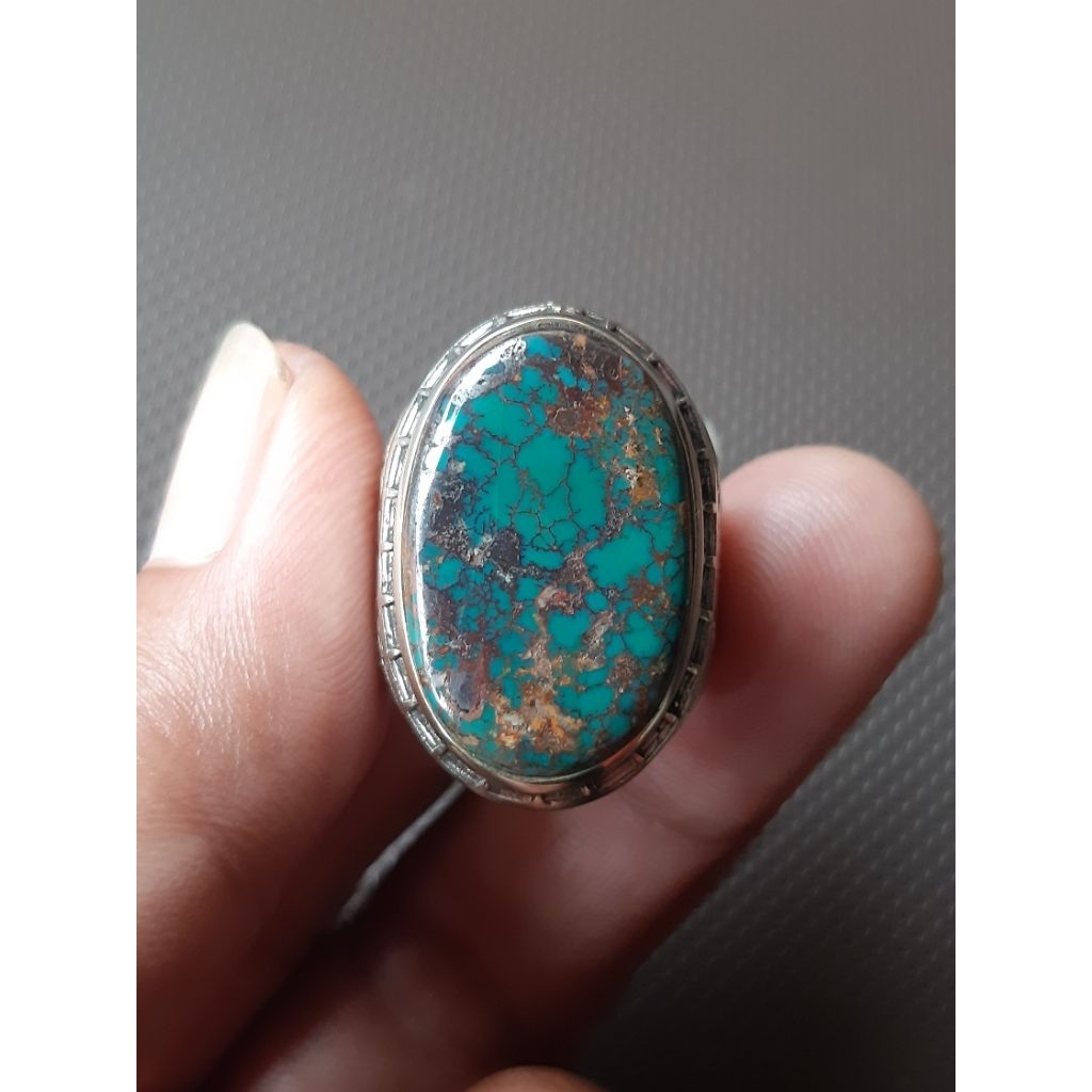 Pirus Persia Biru Nguro Urat Merah Ajib