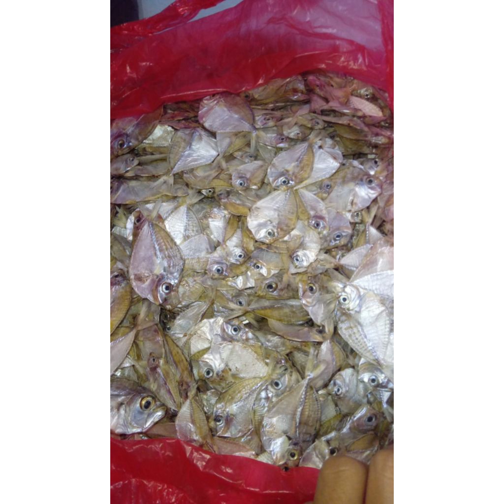 Ikan asin Petek tawar dan renyah