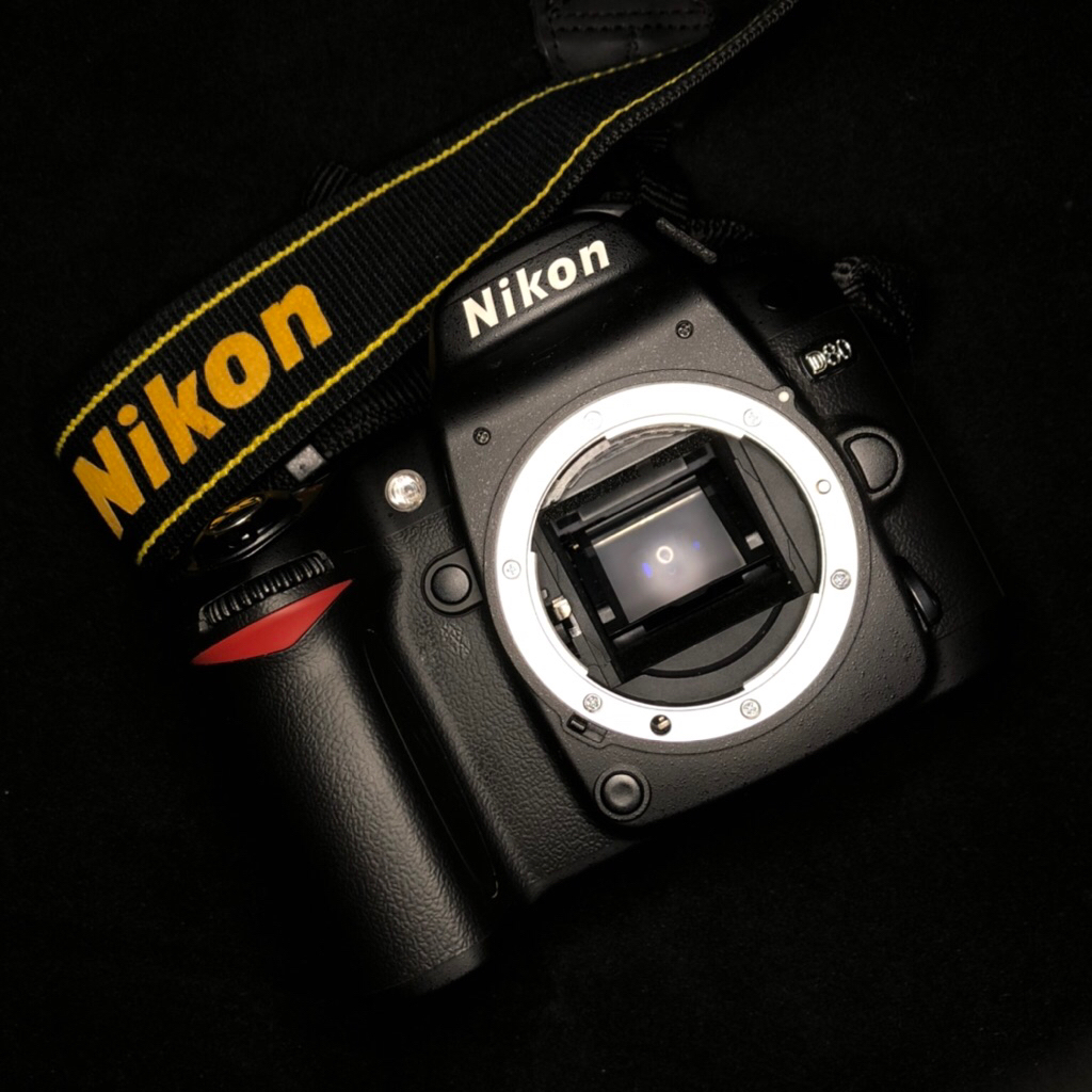 nikon D80 body only