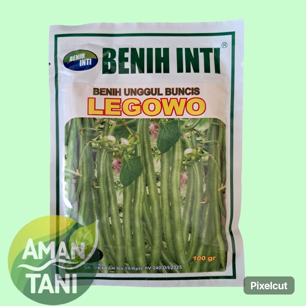 Benih Unggul Buncis LEGOWO dari Benih Inti kemasan 100 gram
