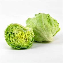 Sayur lettuce segar, head lettuce fresh, sayur lettuce
