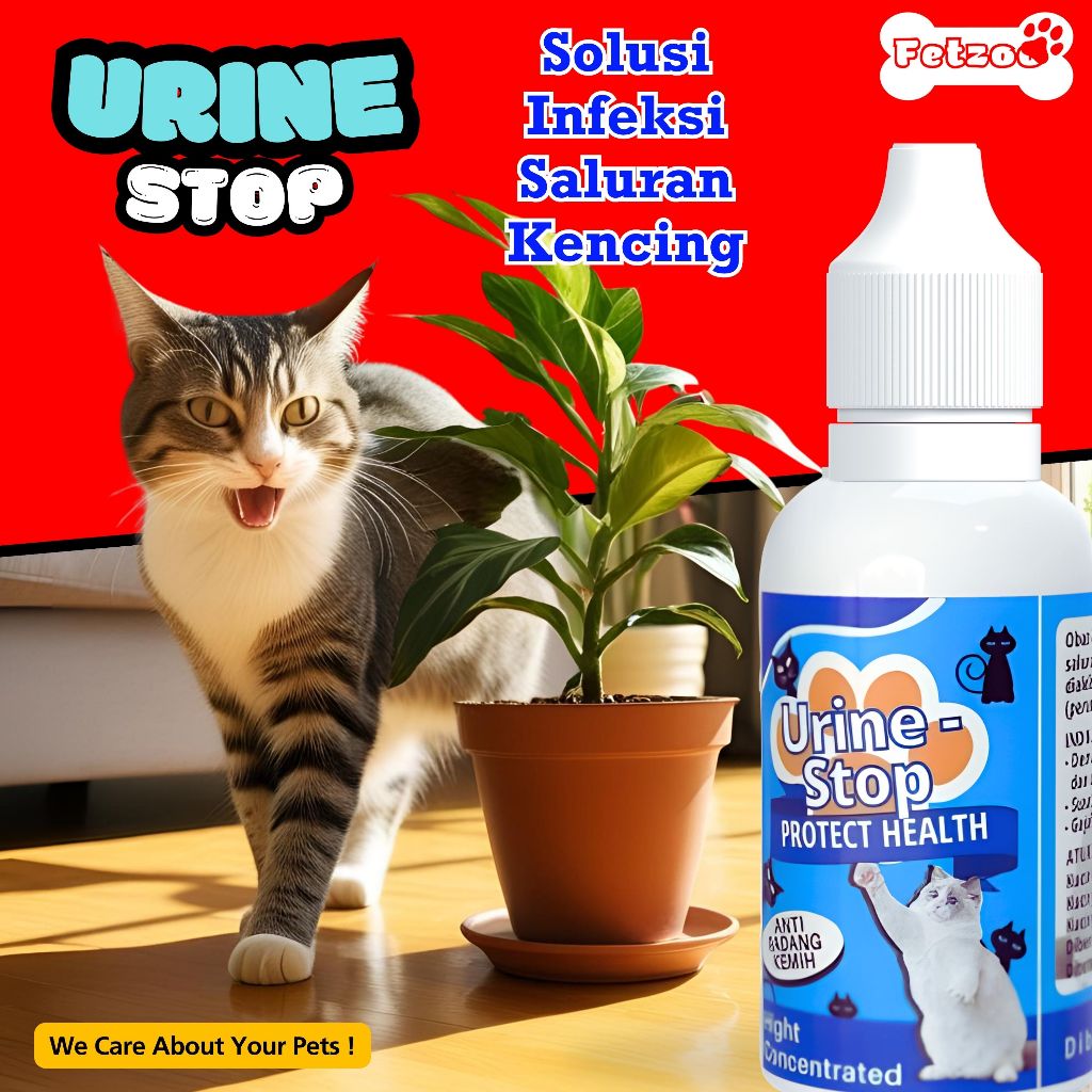 Obat Kucing Infeksi Saluran Kencing Anti Radang Kemih Sakit Susah Pipis Hewan Ampuh FETZOO