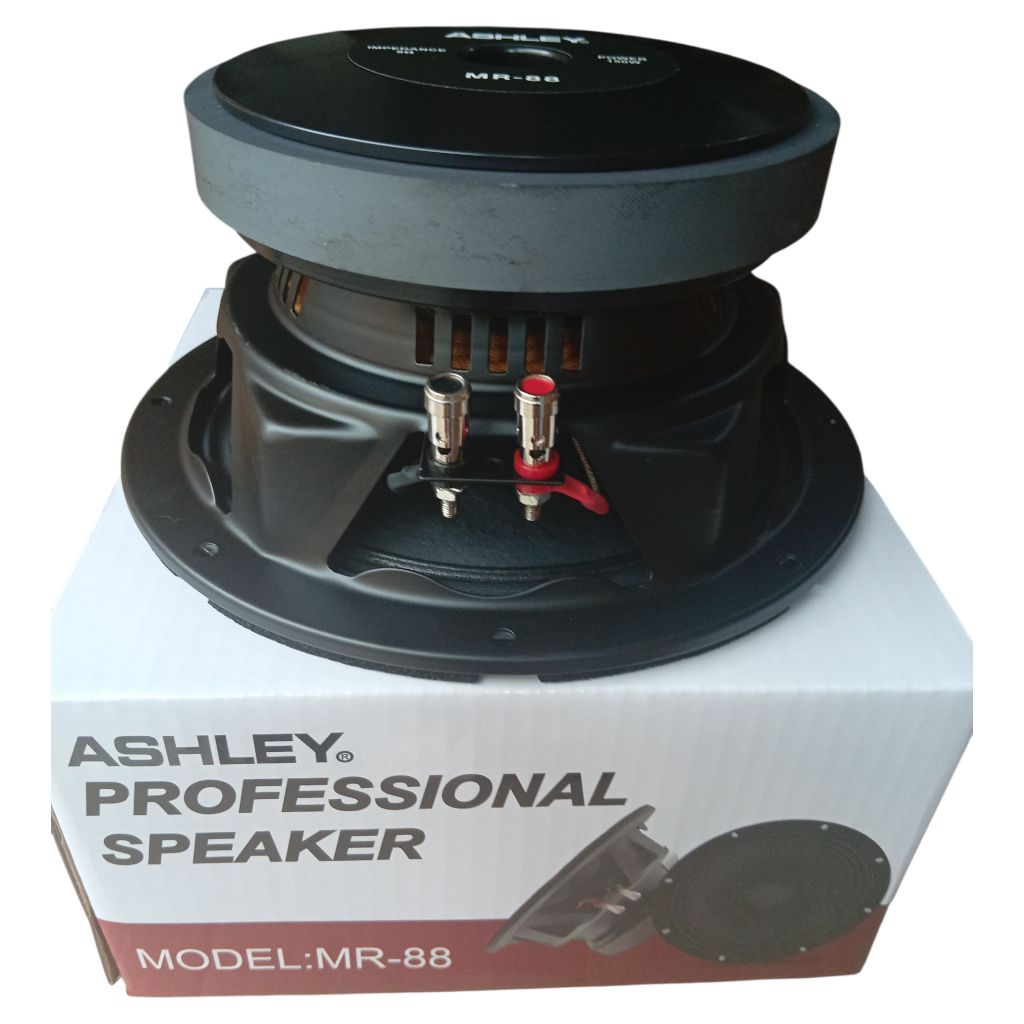 SPEAKER 8 INCH ASHLEY MR-88