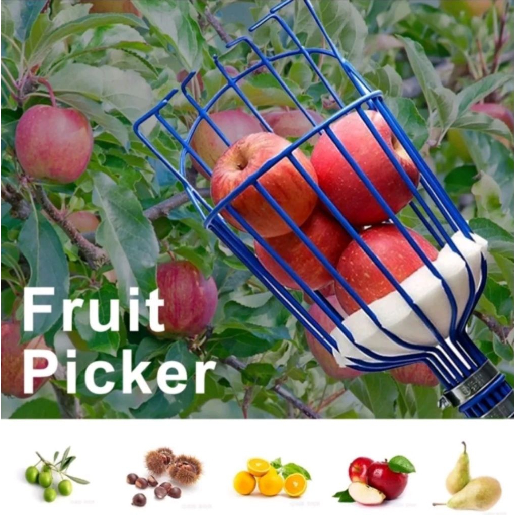 Pemetik buah fruit picker