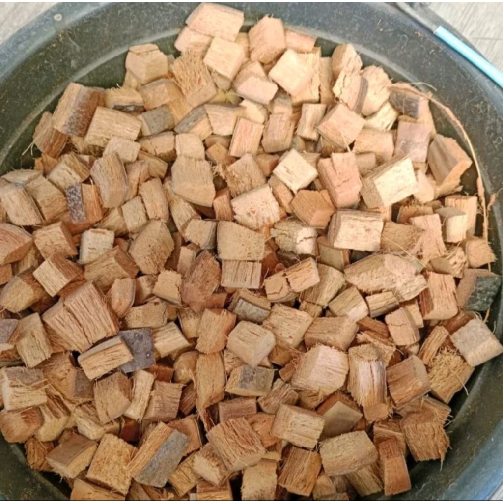 500gr Coco chip sabut kelapa untuk media tanam