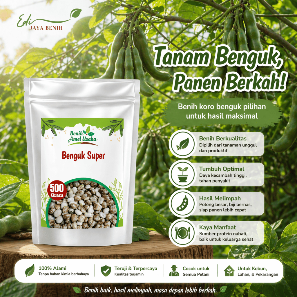 benih koro benguk super / benih biji koro benguk isi 500 gram