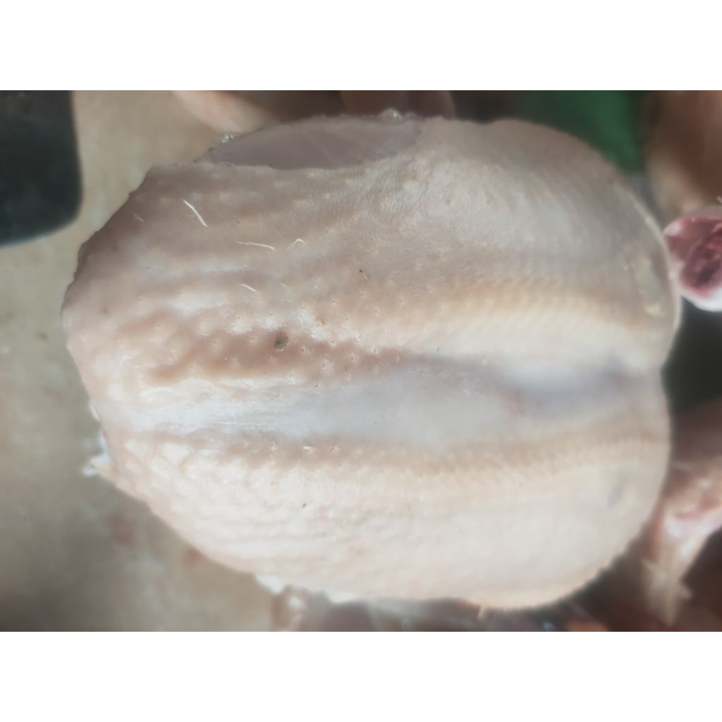 Ayam Potong Segar 1kg - Ayam Potong Dada