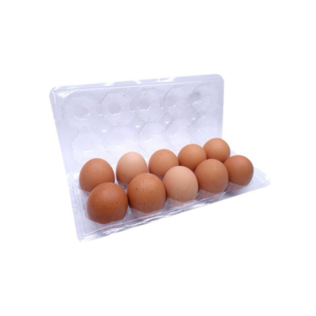 telur ayam ambon