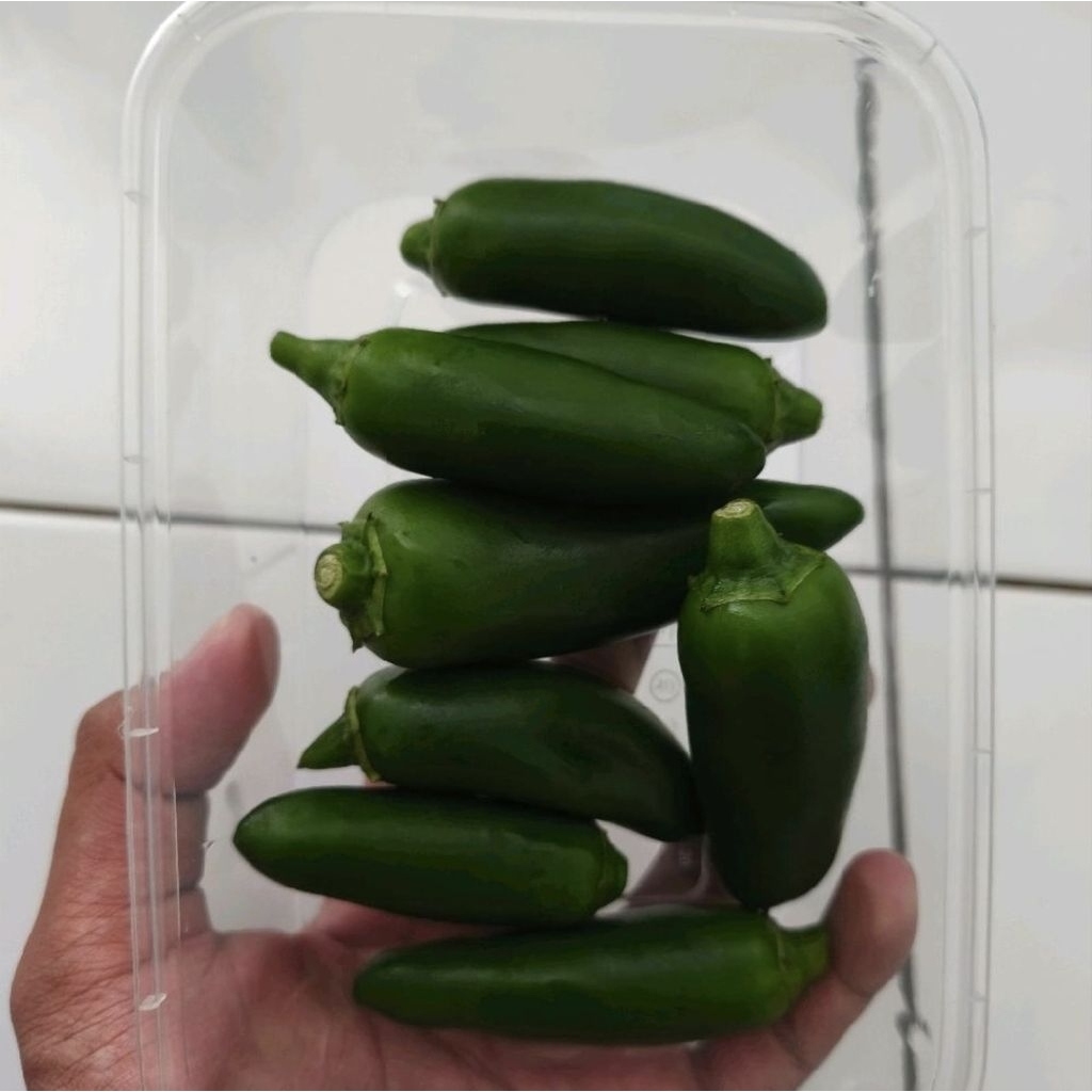 jalapeno fresh cabai hijau jalapeno / pack 150 gr