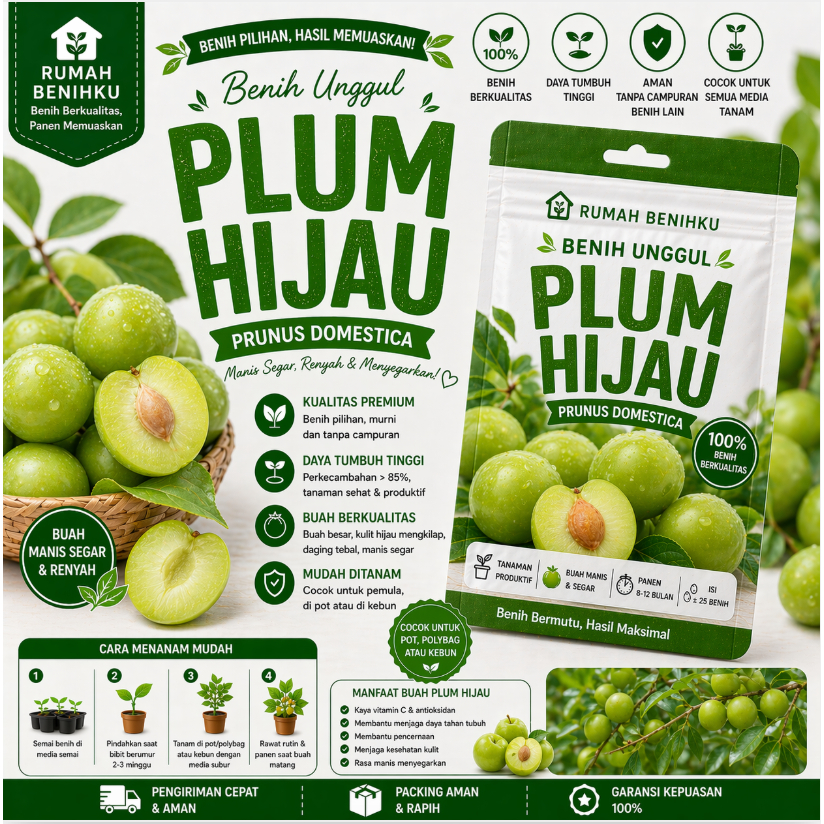 10 biji Bibit Plum Hijau (Tahan Dingin/Buah Obat)