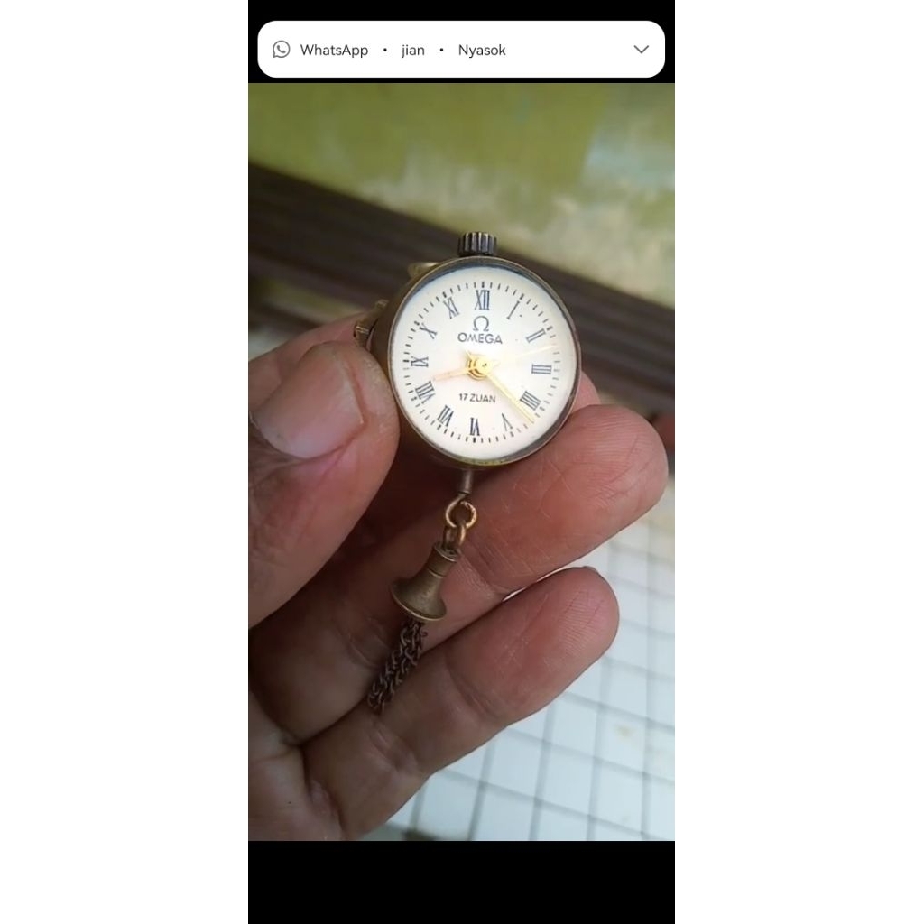 Jam pocket omega
