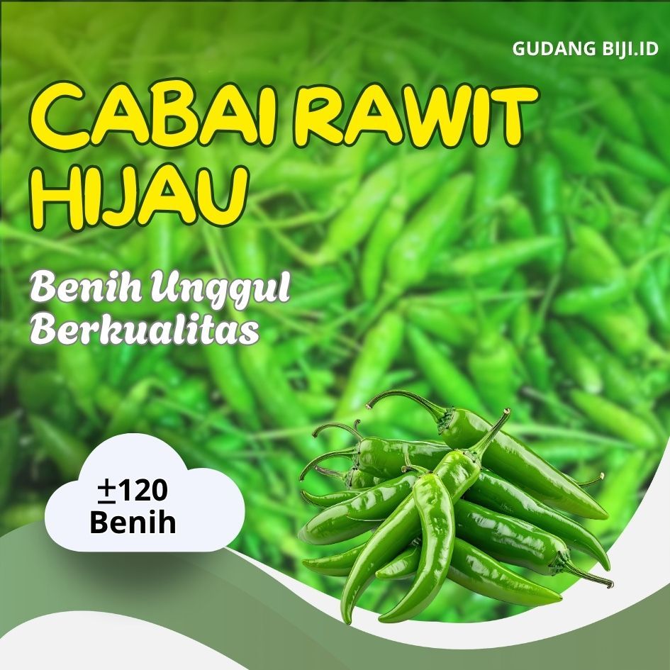 benih cabe rawit hijau unggul