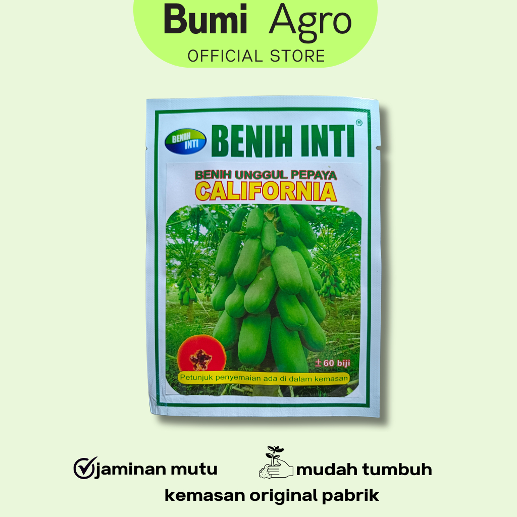 Benih Pepaya California 60 biji Asli Cap Benih INTI Bibit Pepaya Kalifornia Buah Lebat