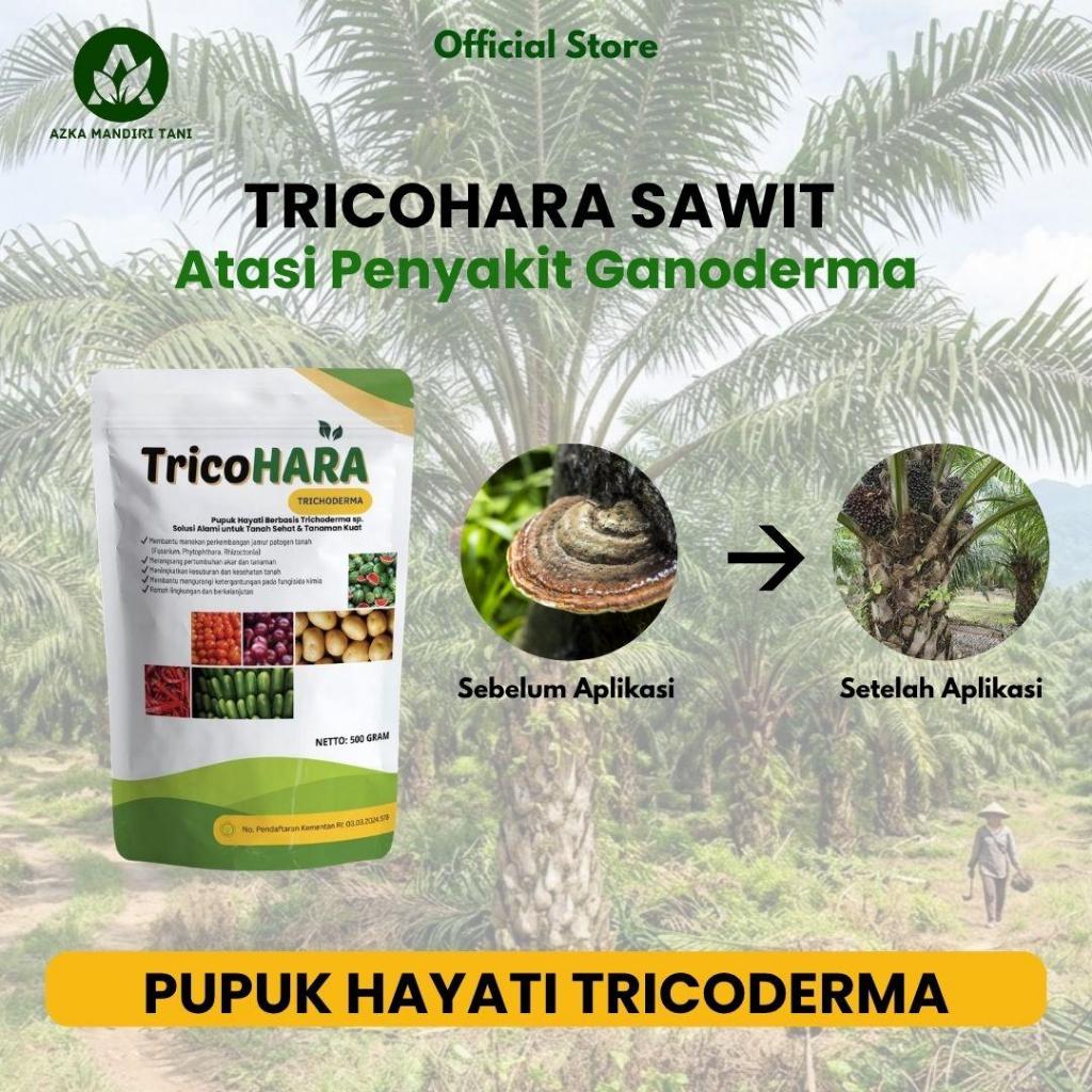 TRICOHARA SAWIT FUNGISIDA HAYATI TRICHODERMA ATASI PENYAKIT GANODERMA PADA TANAMAN SAWIT