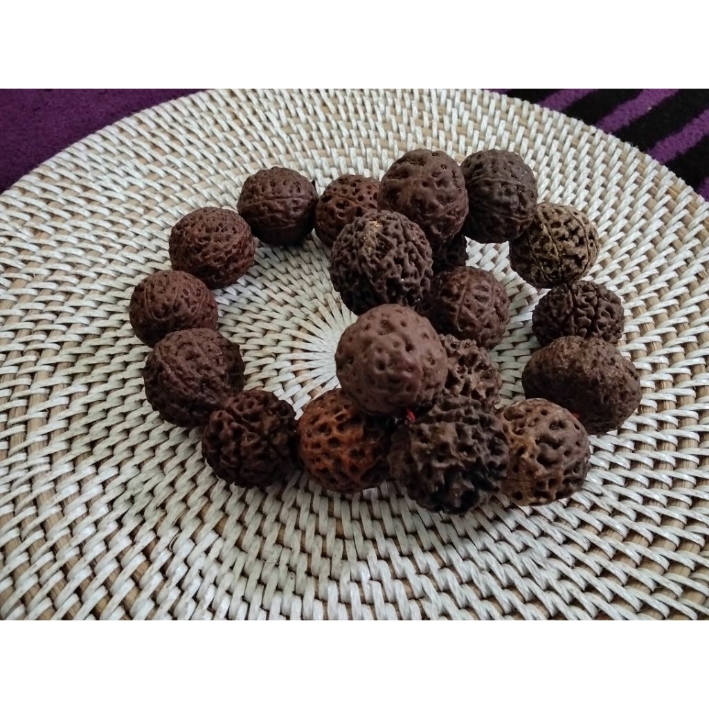 gelang biji Jenitri jumbo