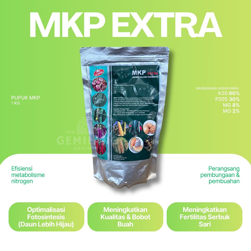MKP EXTRA | Pupuk MKP | Mono Kalium Phospate | K2O 60% P2O5 30% + Magnesium & Molibdenum | Perangsan