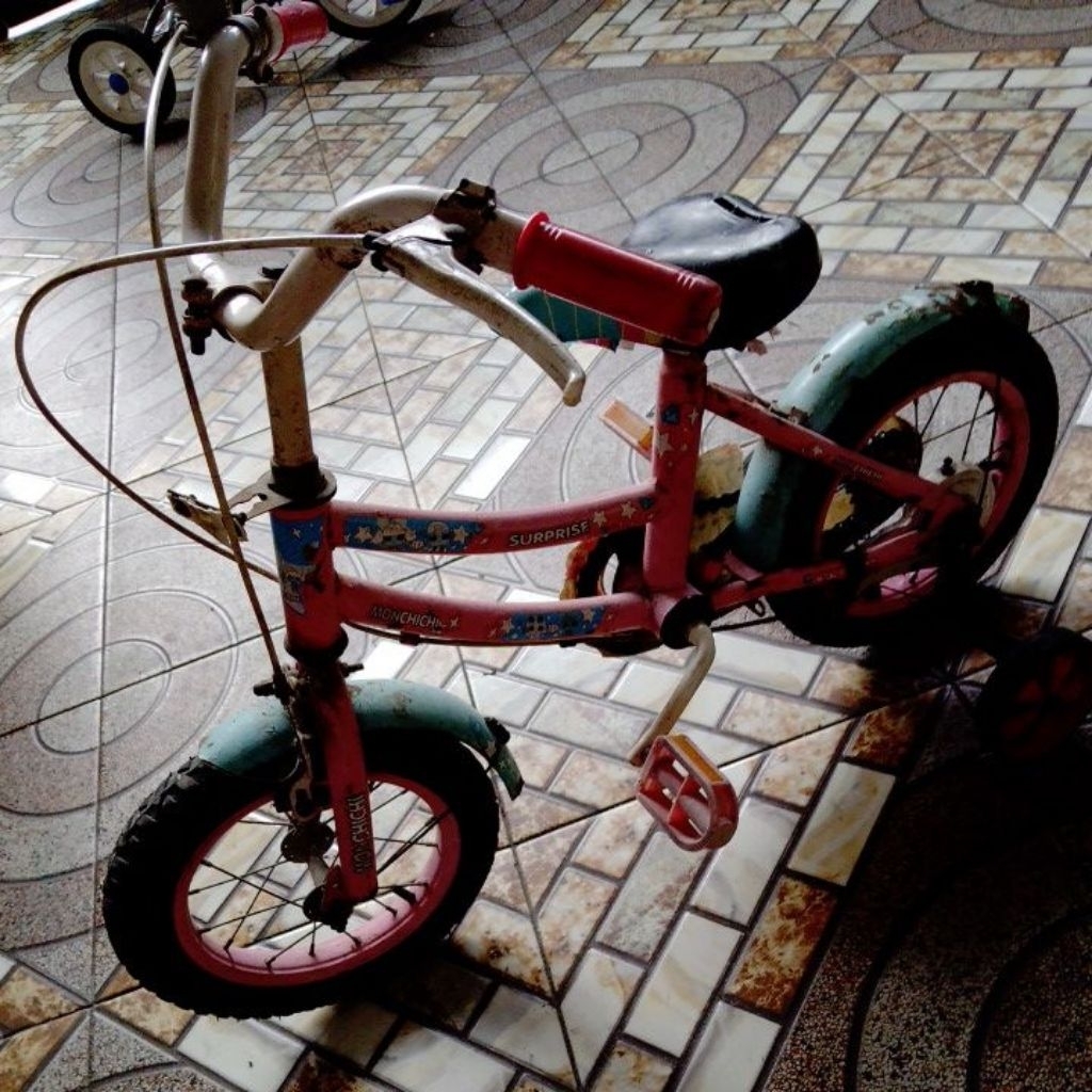 sepeda kecil anak