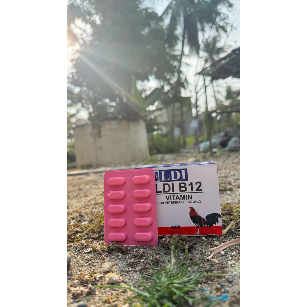 LDI B12 vitamin ayam 1 strip