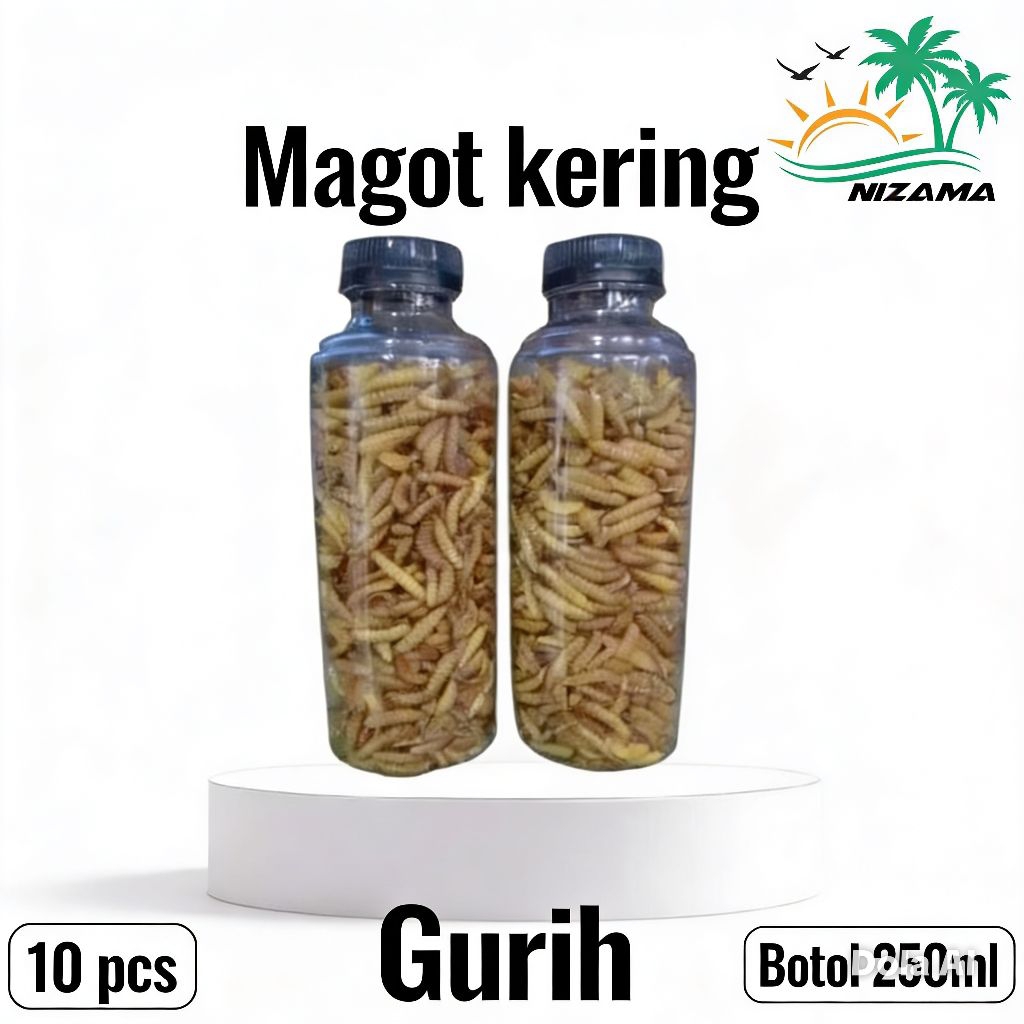 magot kering 10 pcs/Magot kering kemasan botol 250ml/magot kering/Magot/Maggot ya
