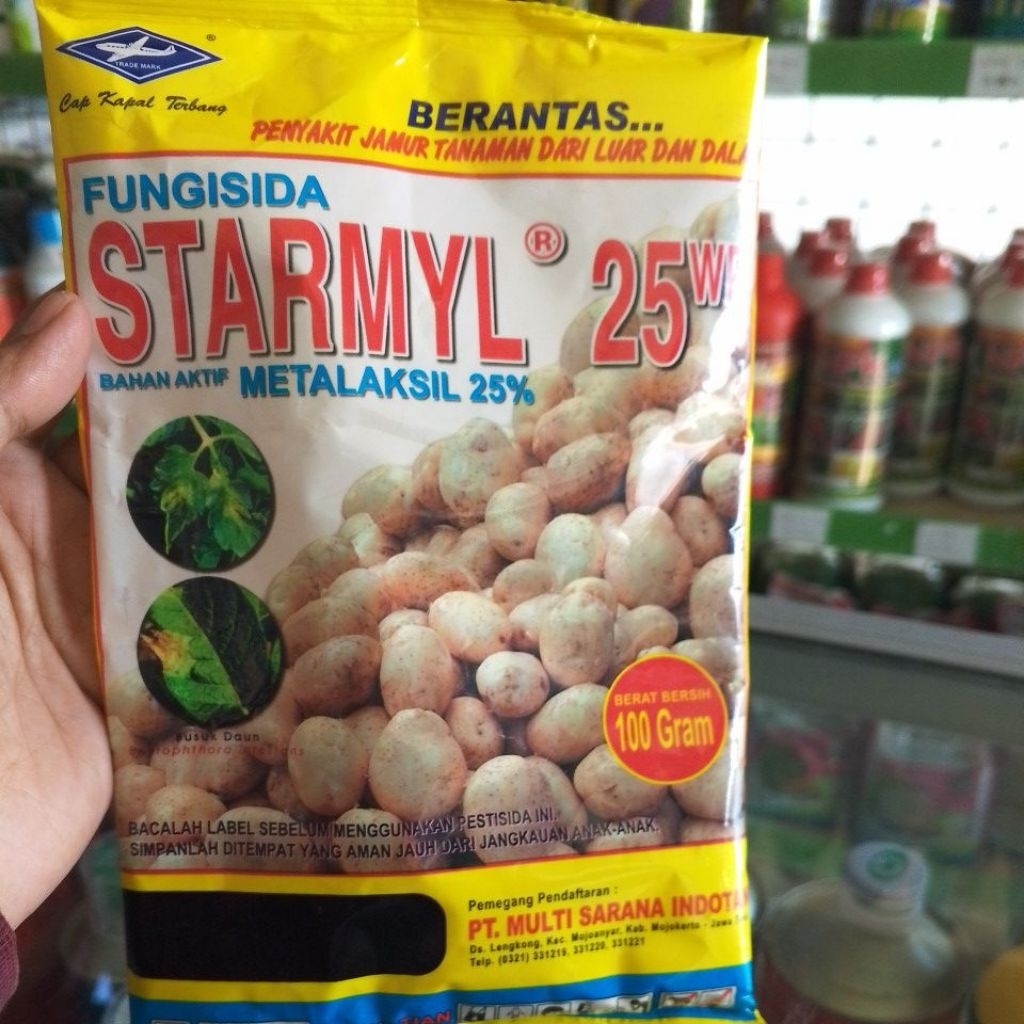 fungisida starmyl metalaksil 25wp busuk daun busuk buah