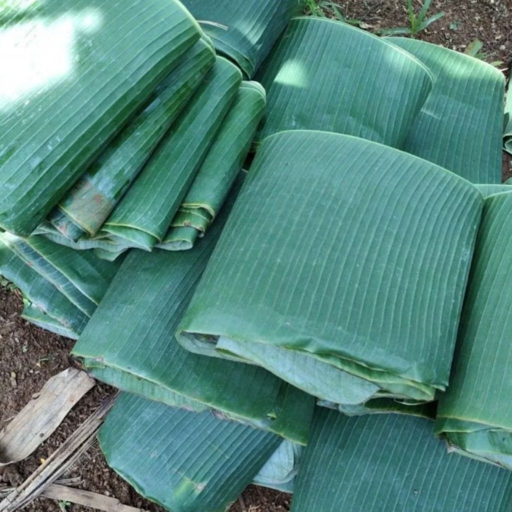 Daun Pisang Segar untuk Kebutuhan Dapur dan Tradisional Daun Pisang Batu Manggala Per 1 kg Fresh Ban