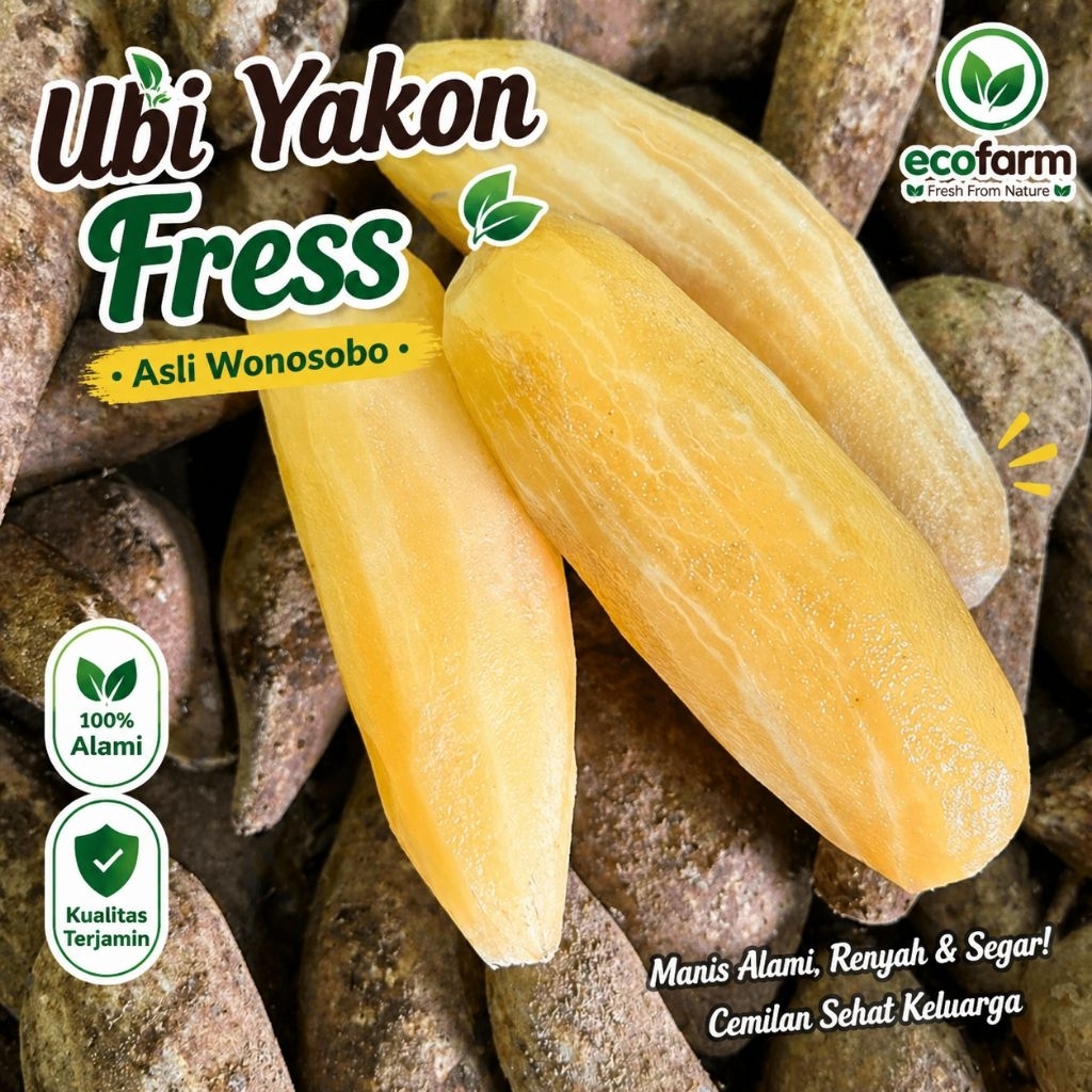 Ubi Yakon Mini 500gr Isi 4–6 | Ubi Yakon Fresh Asli Wonosobo | Umbi Segar Renyah Manis Alami