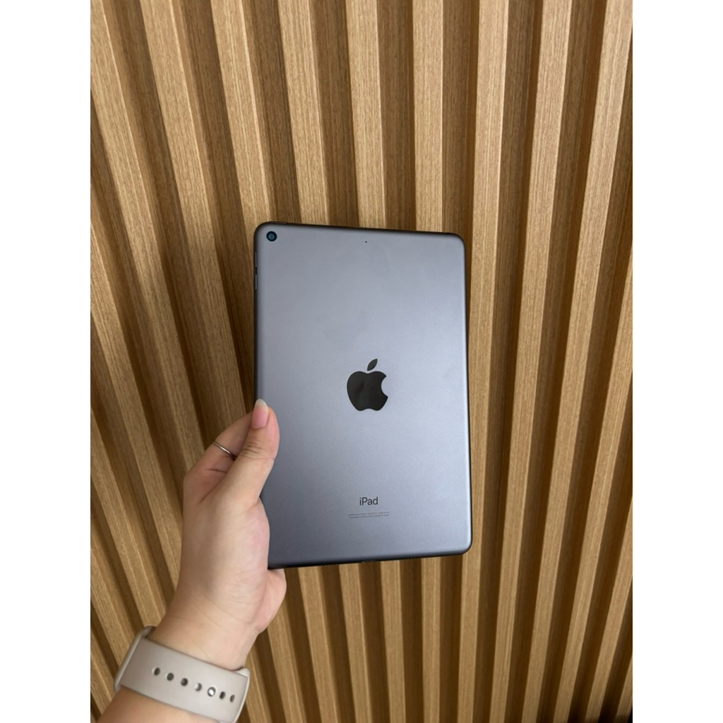 Ipad Mini 5 256GB - WiFi