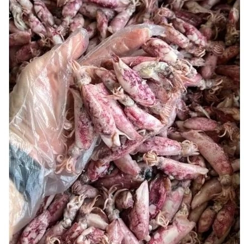 Cumi Sotong Asin / Ikan Asin Sotong