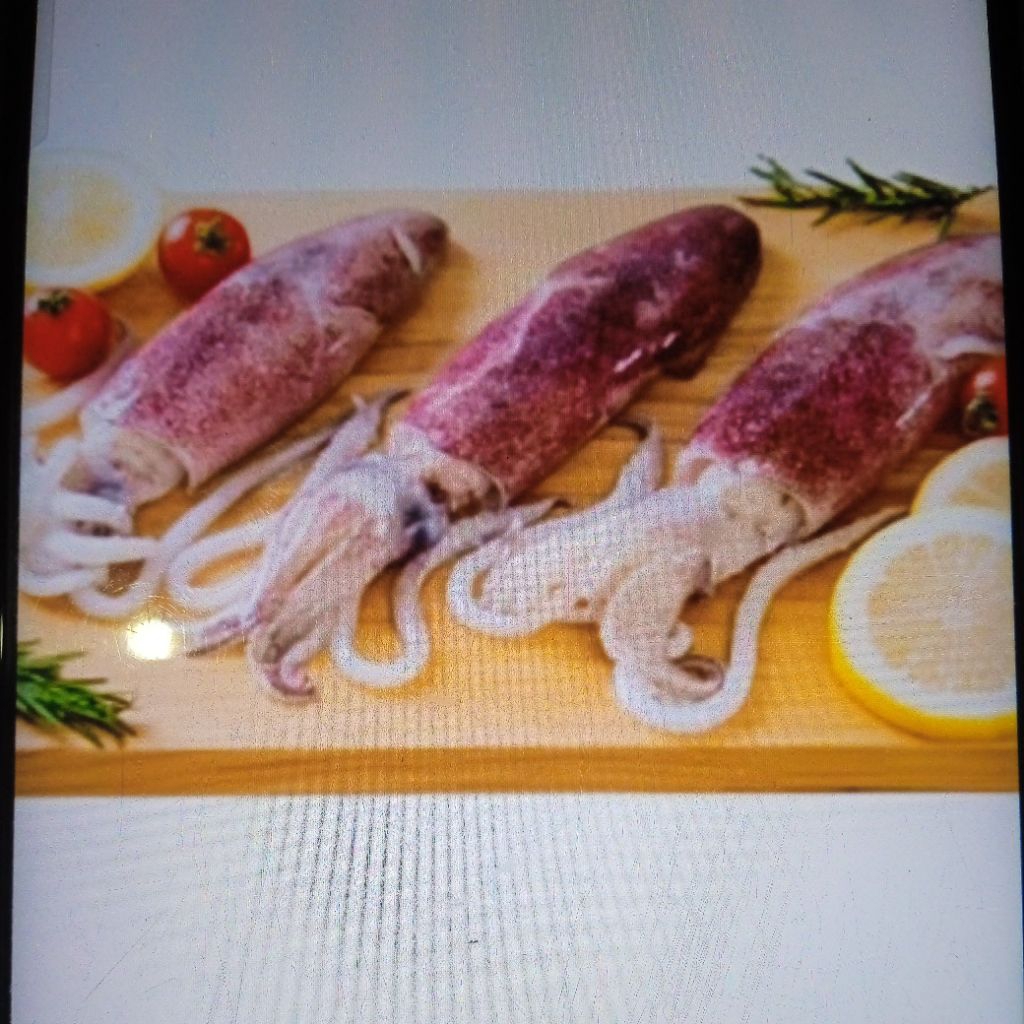 Cumi Sotong Fresh 500 gram
