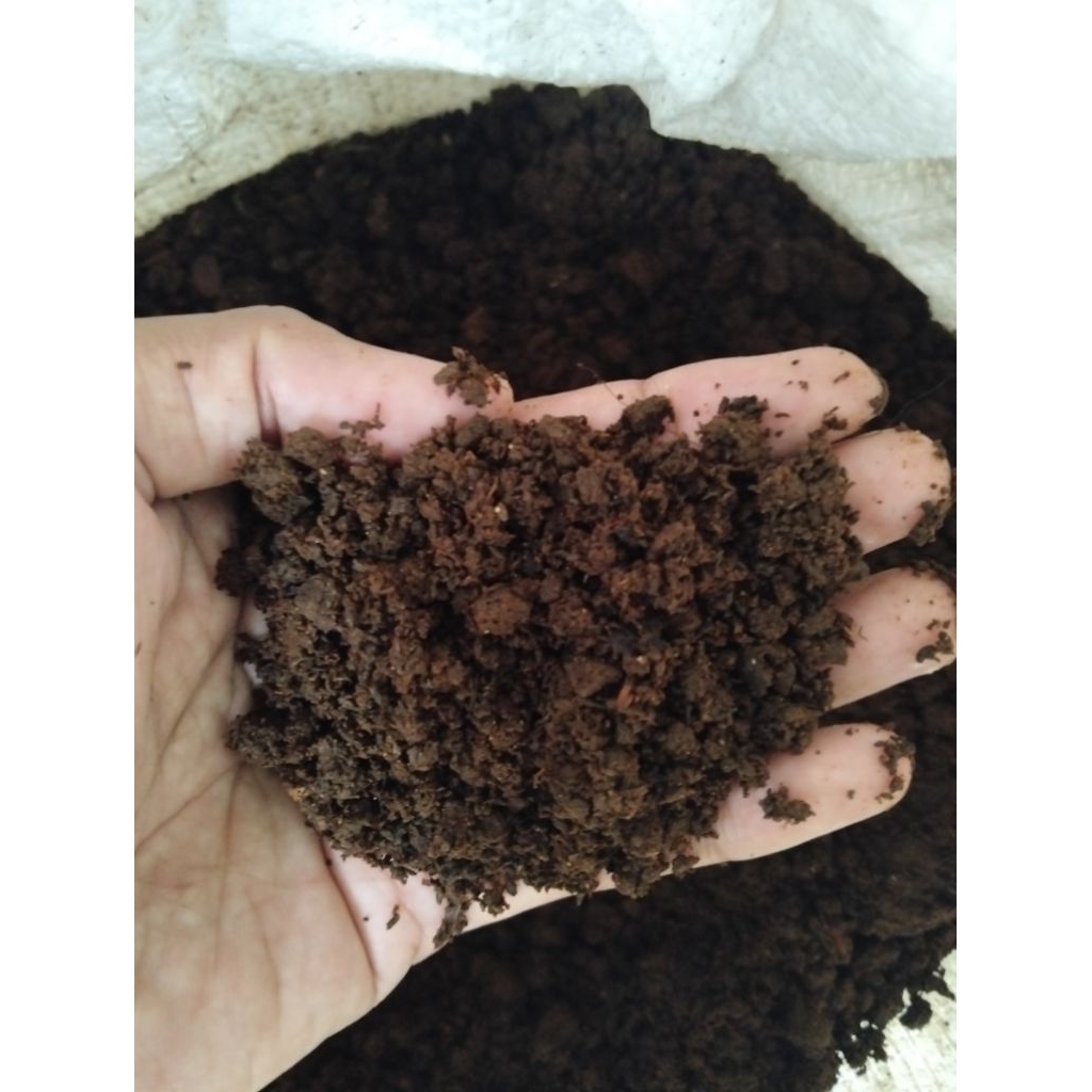Pupuk Kascing / Vermicompost