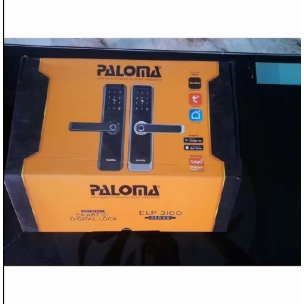 smart lock paloma DLP 3100