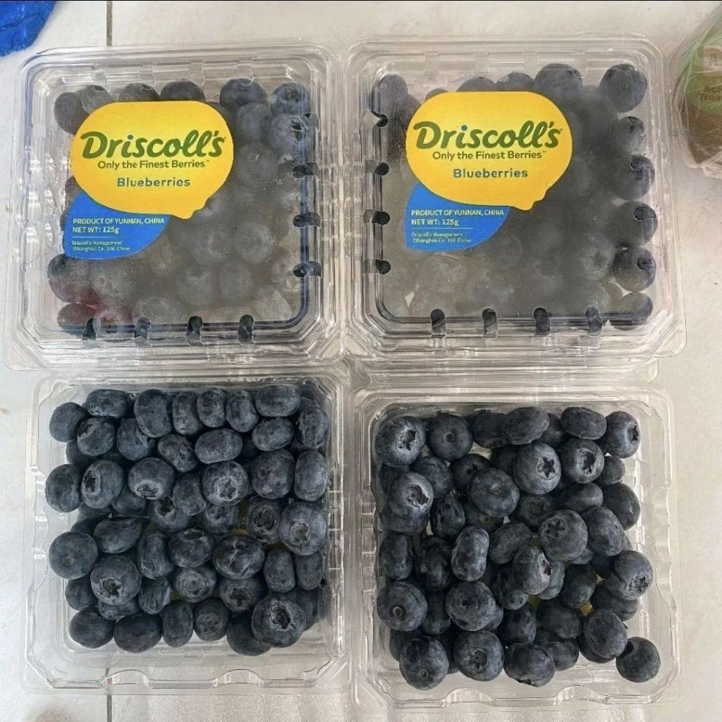 Blueberry Driscolls Import Fresh / Buah Blueberry 125 gr / Pack