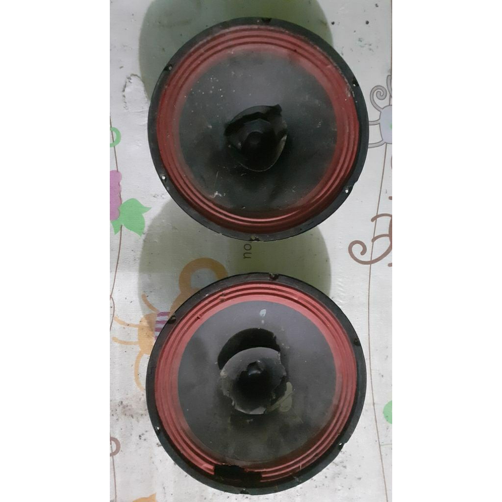 speaker 12 inchi