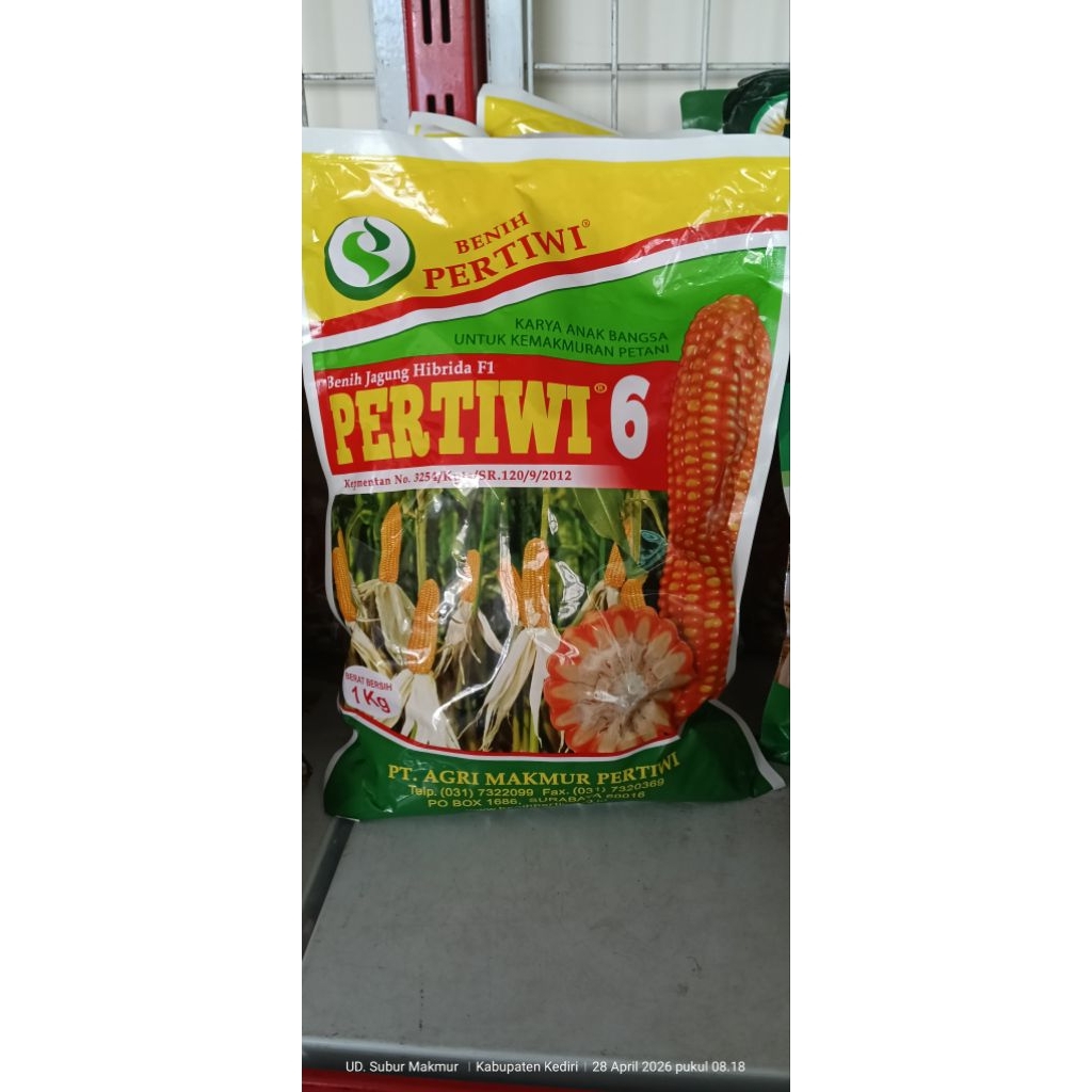 Jagung Pertiwi 6
