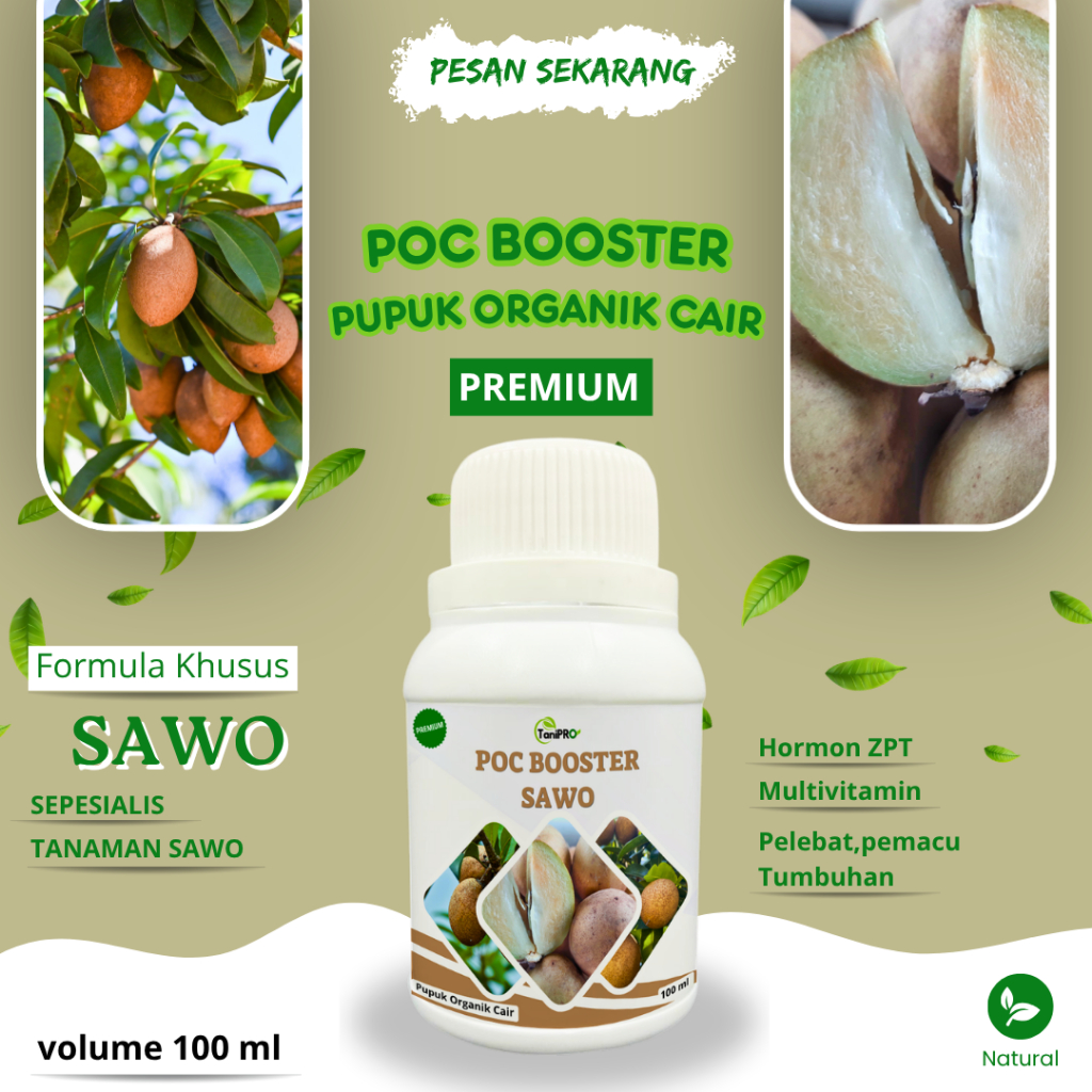 Pupuk Organik Cair  Pelebat Buah Sawo Booster Pemacu Pembungaan dan Melebatkan Buah Sawo