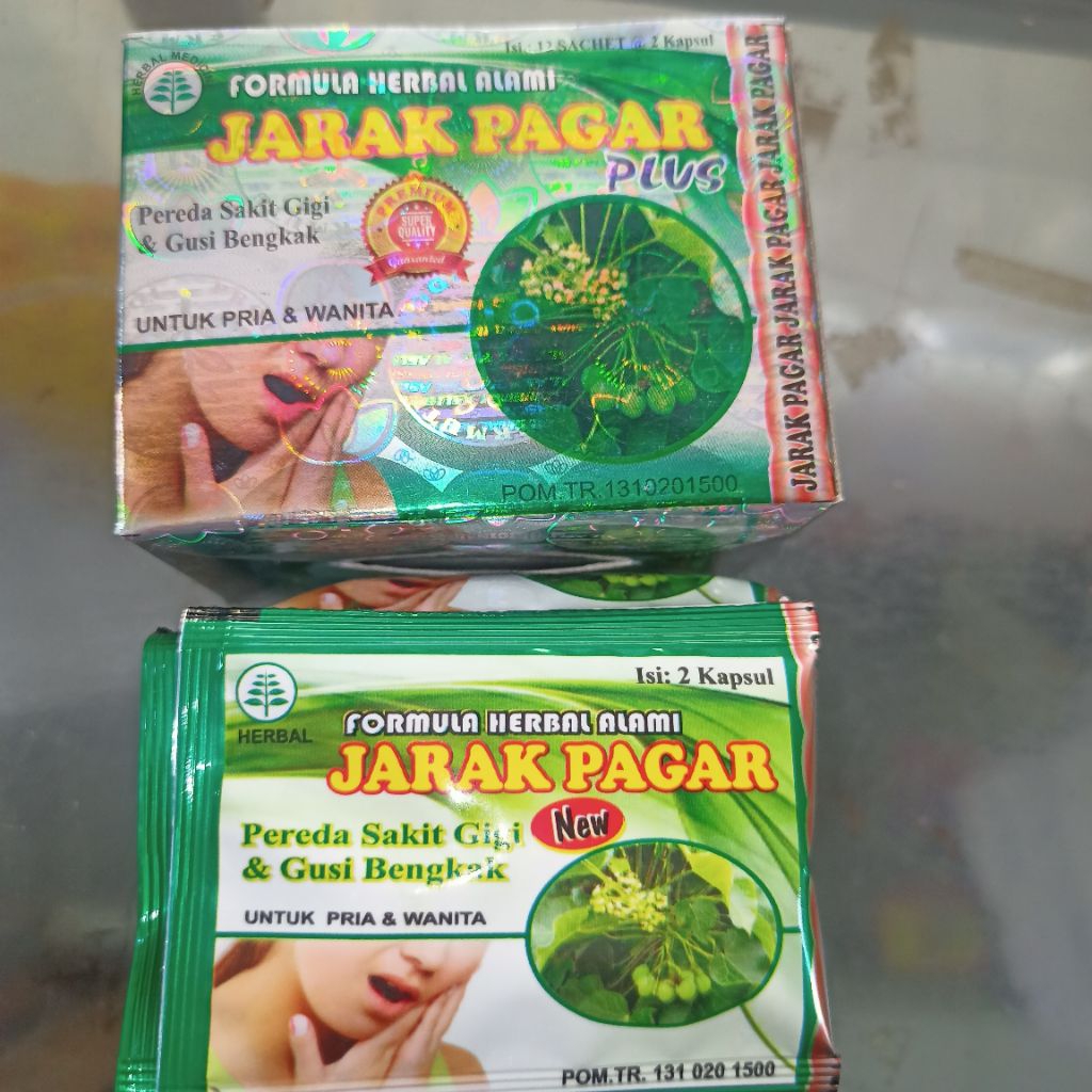 FORMULA HERBAL alami pereda sakit gigi dan gusi bengkak JARAK PAGAR PLUS ORI