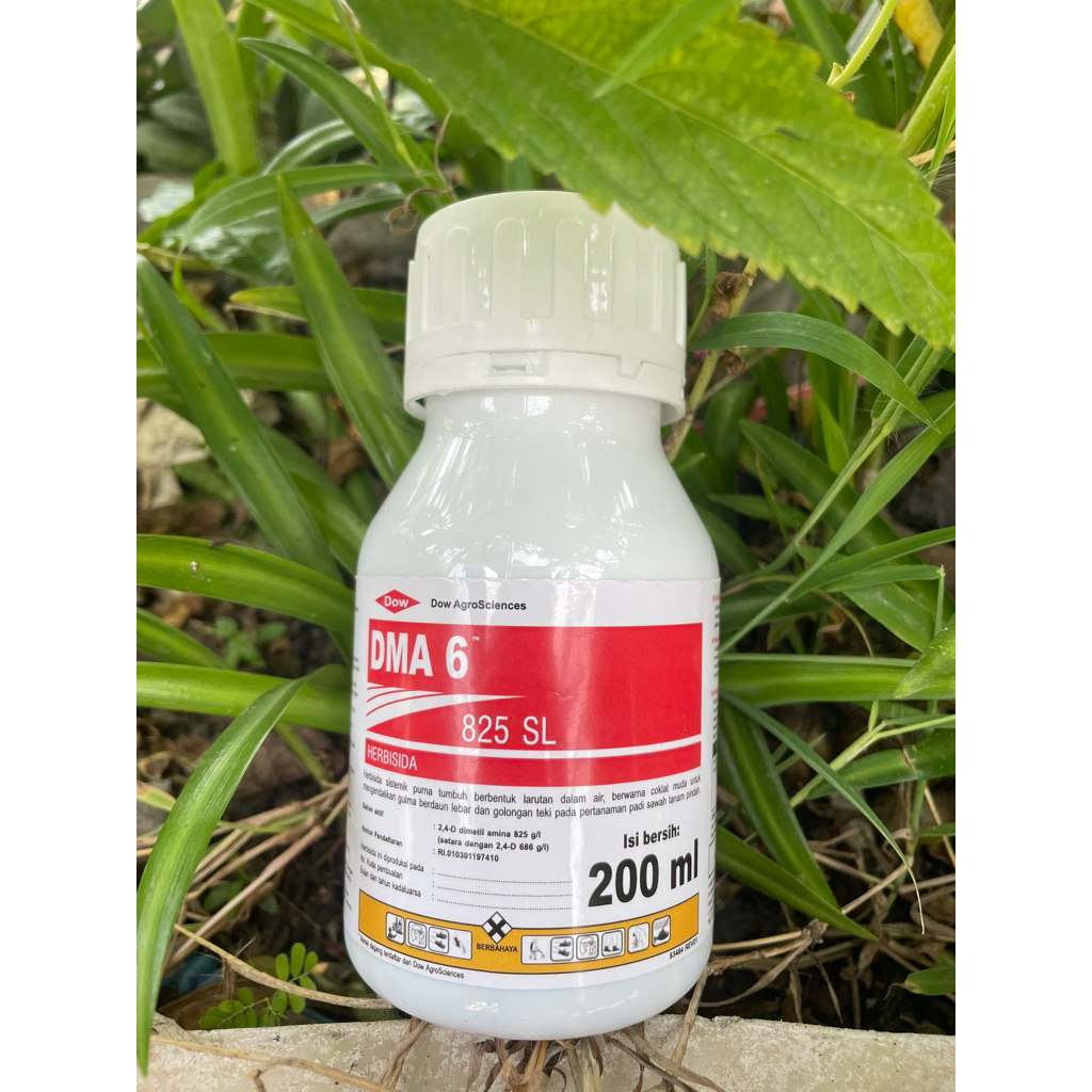 Herbisida DMA 825SL || 200ml basmi rumput daun lebar
