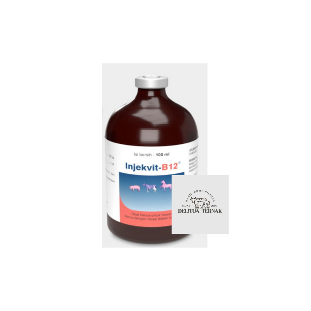 Injekvit B12 Obat Suntik Vitamin B12 100ml untuk Hewan Ternak - Tingkatkan Nafsu Makan dan Perbaiki 