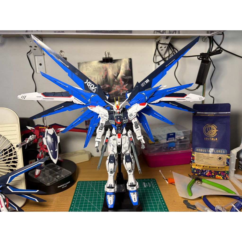 Daban 6650 MG Freedom Gundam