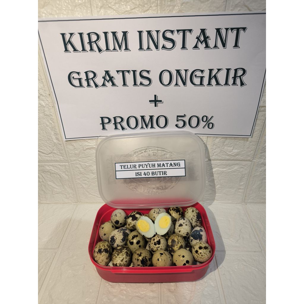 telur puyuh matang 40 butir bonus lunch box istimewa Kirim Instan