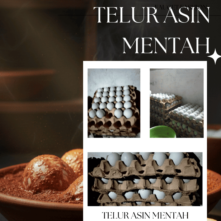 Telur Asin Mentah OMEGA Masir | Telur Bebek Asin Premium Gurih