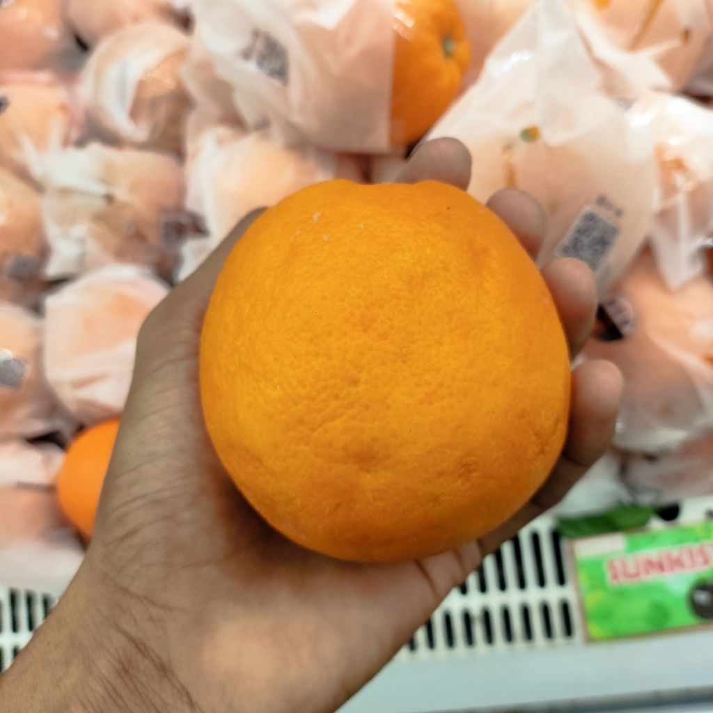 Jeruk Sunkist navel RRT | jeruk manis segar import premium 1kg