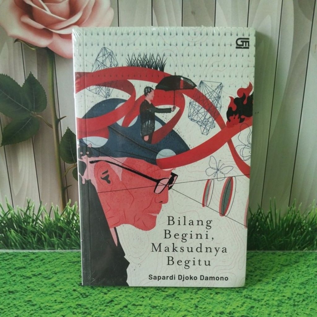 bilang begini maksudnya begitu